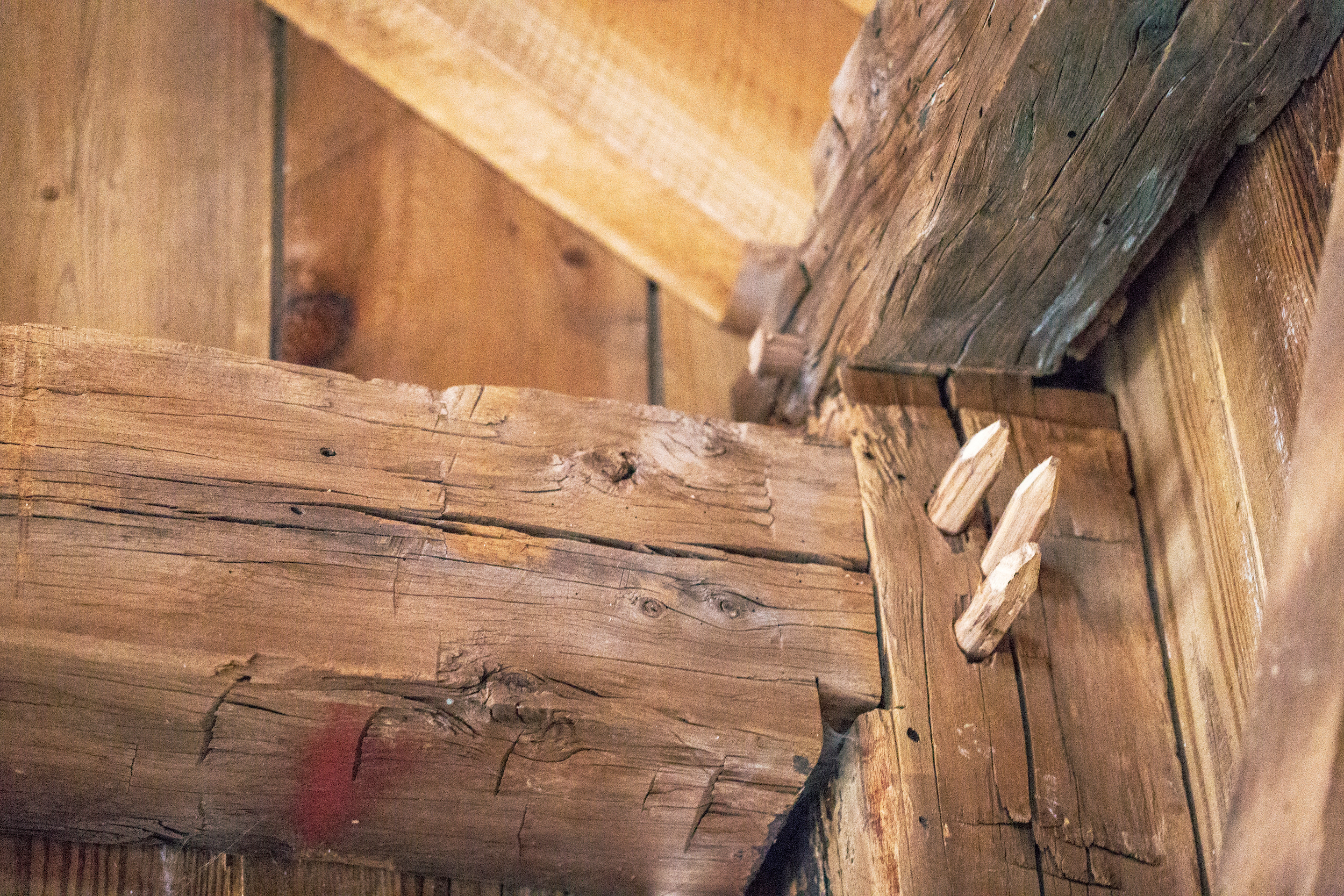 detail: peg in barn beam